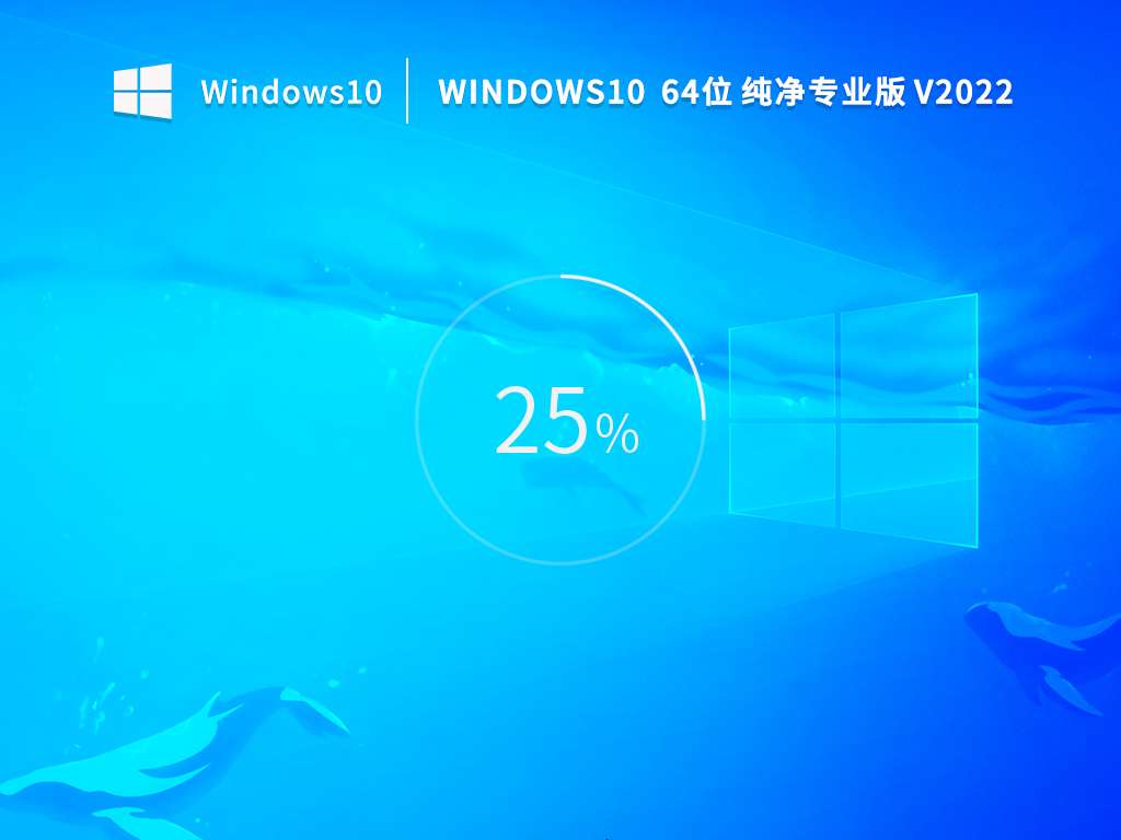 Windows10 64位 21H2 純凈專業(yè)版 v2022.10