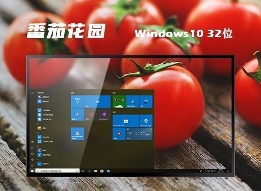 番茄花园 ghost win10 32位 企业镜像版 v2022.11