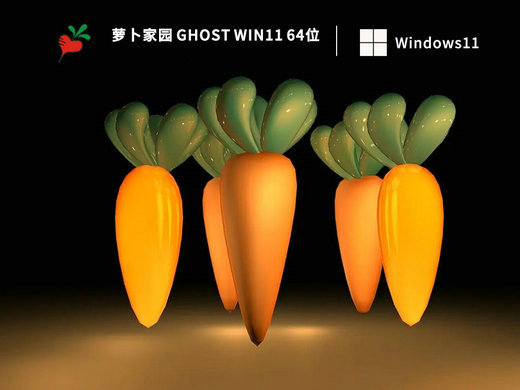 萝卜家园Ghost Win11 64位纯净安装版 v2022.12