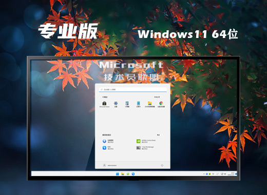 技术员联盟 Ghost Win11 64位高效简体版 v2023.02