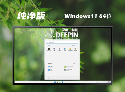 深度技术 ISO Win11 64位最新通用版 v2023.03