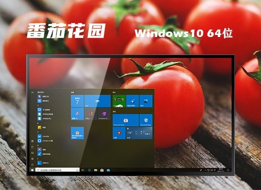 番茄花园 ghost win10 64位 简约纯净版系统 v2023.03