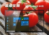 番茄花园 Win10 64位 专业装机版 V2023.08