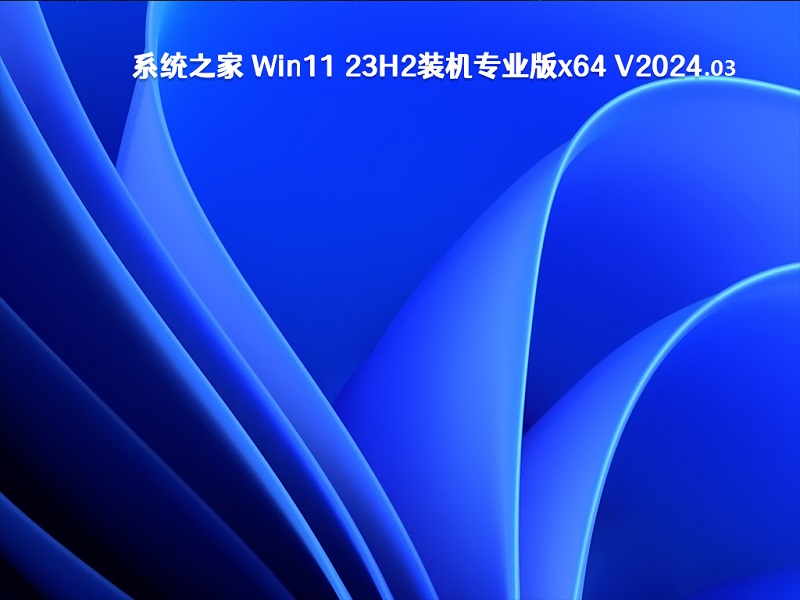 系统之家 Win11 23H2装机专业版x64 v2024.03