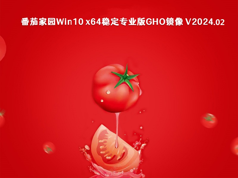 番茄家园 Win10 x64稳定专业版GHO镜像 v2024.02
