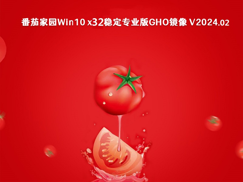 番茄家园 Win10 x32稳定专业版GHO镜像 v2024.02