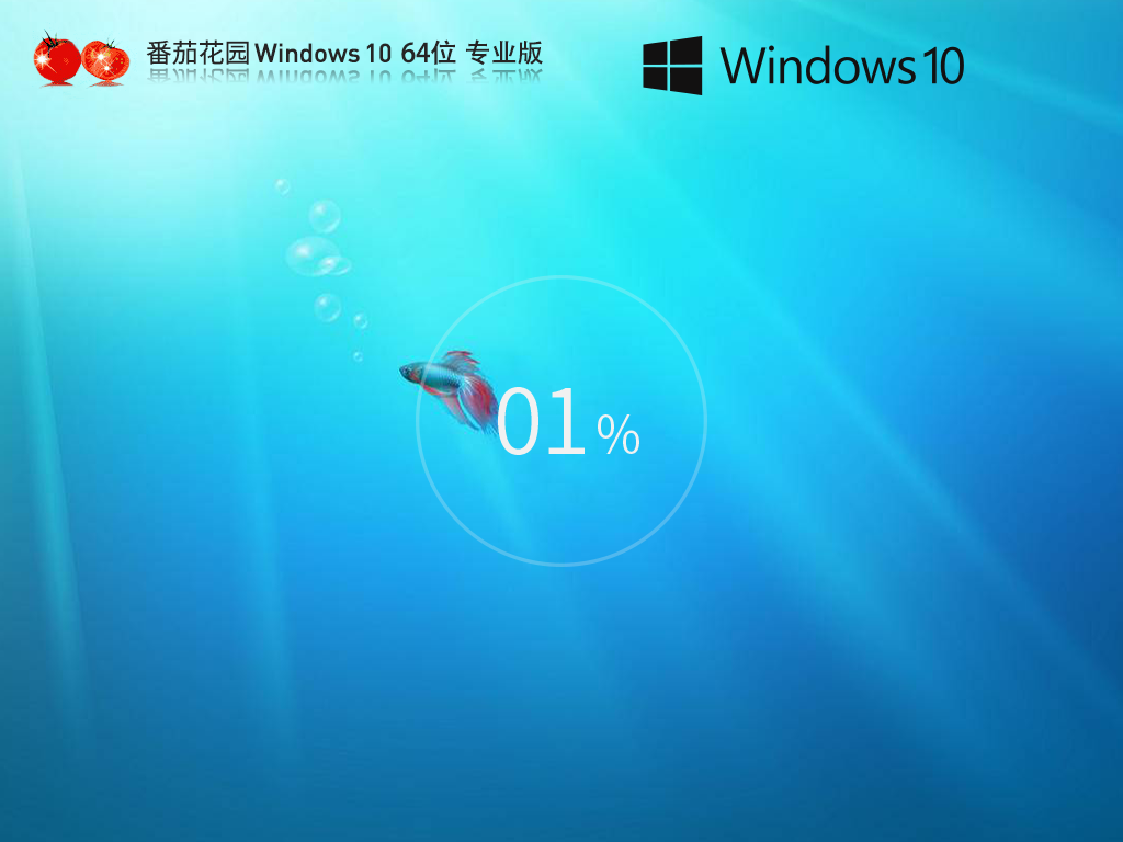 番茄花園 Windows10最新專業(yè)版 64位 V2025.1