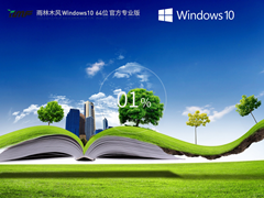 雨林木风 Windows10 专业装机版 64位 V2025.1