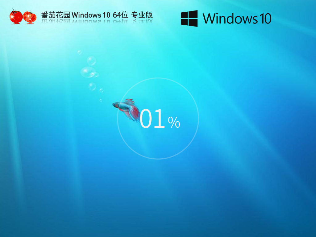 系统之家 Windows10Office 365 办公版系统 64位 V2025.2