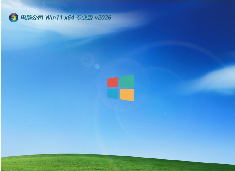 电脑公司最新win11青年标准版 64位 V2026.03